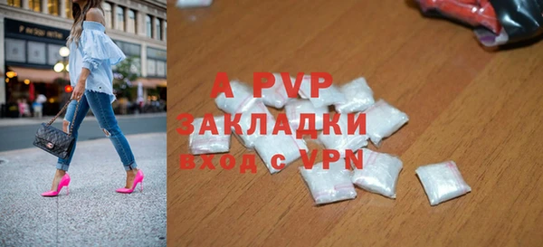 крисы Козельск