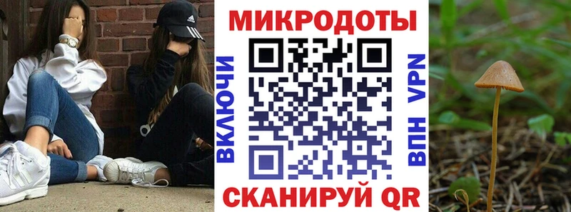 Галлюциногенные грибы Psilocybe  MEGA онион  Озёры 